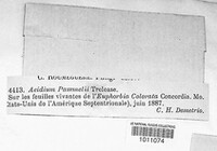Image Associated With the Occurence